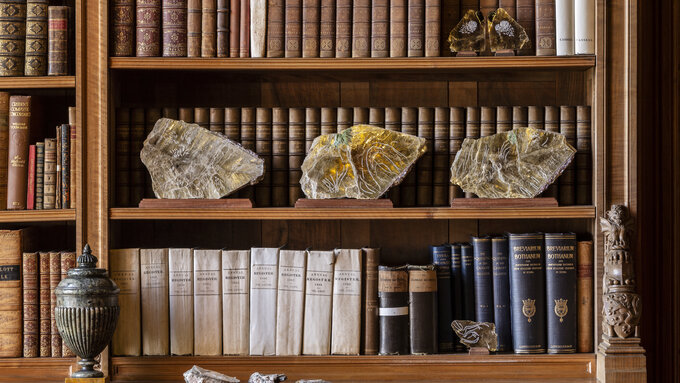 The Library detail Ilana Halperin 2020 Courtesy the artist and Patricia Fleming Gallery Glasgow Photograph Keith Hunter copy