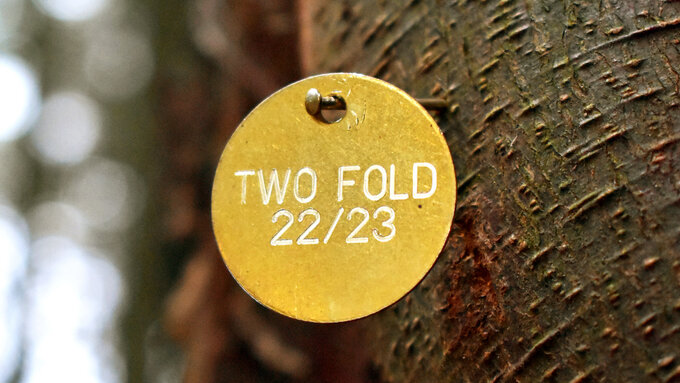 Twofold tag copy