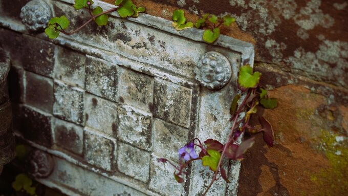 MST Pipes Detailing 0008 copy