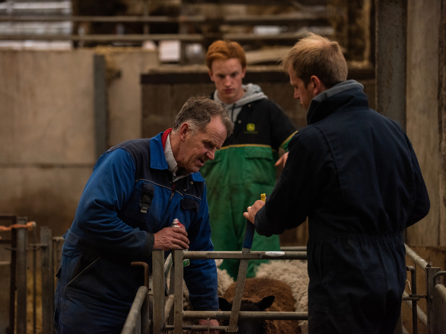 Stuart Roper Farming Farming | Mount Stuart