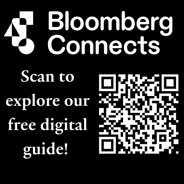 Bloomberg website white on black